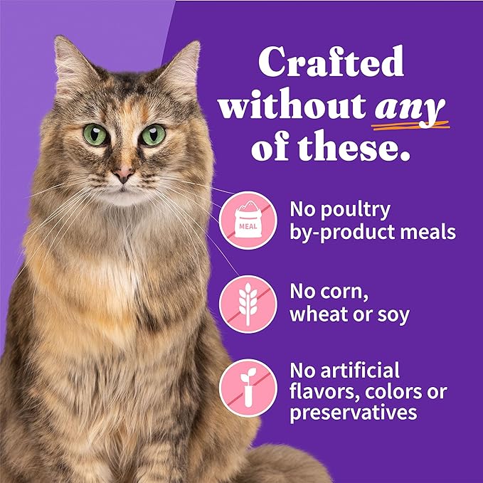 Halo Wet Cat Food Whole Salmon Stew Recipe, Grain Free Wet Cat Pate, Canned Cat Food for Extra Hydration, 5.5 Oz Can (Pack of 12)