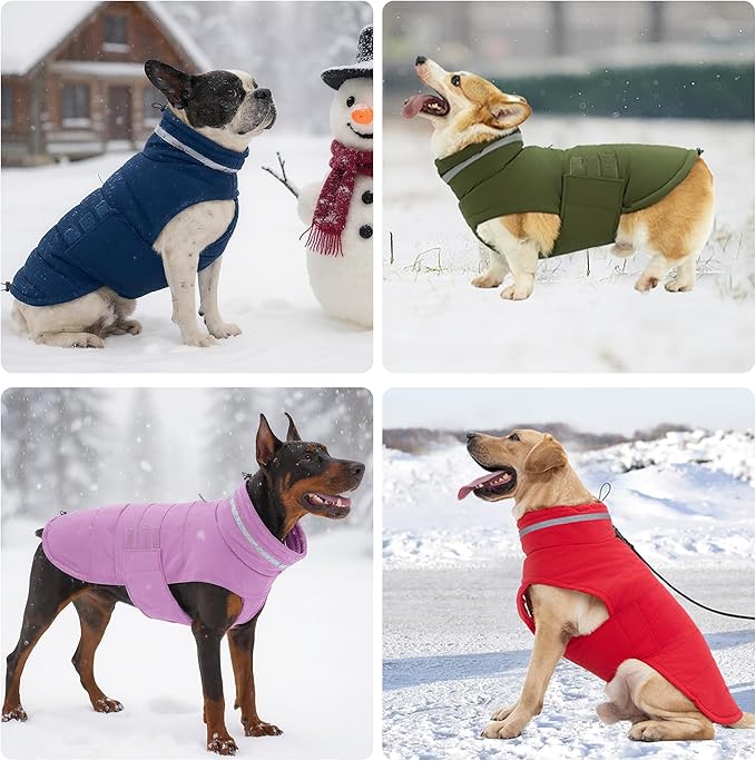 Dog Coat, Waterproof Winter Jacket, Warm Windproof Jacket, Reflective Adjustable Turtleneck Coats for Medium Dogs with Hook & Loop - Green - M