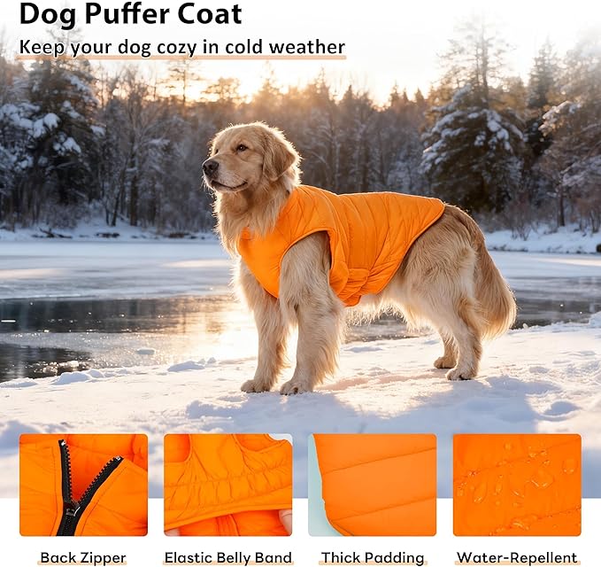 PUMYPOREITY Dog Puffer Coat with Detachable Scarf, Warm Padded Cold Weather Vest, Windproof Lightweight Snowsuit, Water Resistant Dog Winter Coats, Thermal Winter Jacket for Small Medium Large Dogs