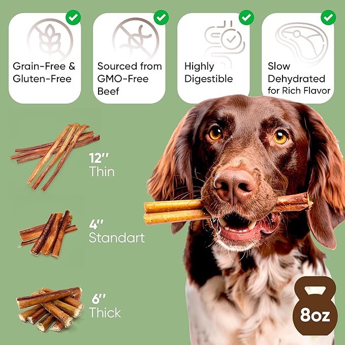 MASSTICK Bully Sticks for Dogs 6 Inch – Extra Thick, Long Lasting, Odor Free Beef Dog Chew Sticks – All Natural, Fully Digestible Treats for Small & Large Dogs – 8oz Bag
