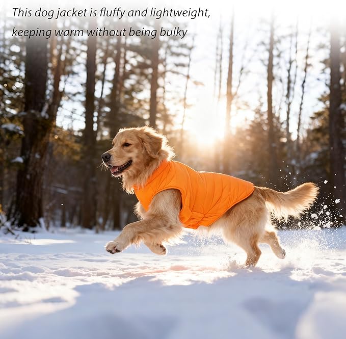 PUMYPOREITY Dog Puffer Coat with Detachable Scarf, Warm Padded Cold Weather Vest, Windproof Lightweight Snowsuit, Water Resistant Dog Winter Coats, Thermal Winter Jacket for Small Medium Large Dogs