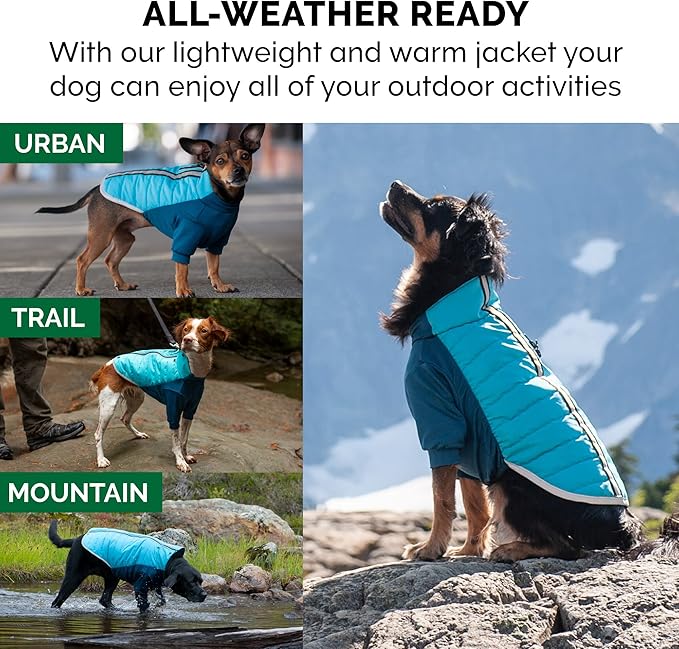 Furhaven Water-Repellent Large Dog Coat, Washable w/ Leash Access & Stretch Fabric - Pro-Fit Active Jacket - Aquamarine, Large