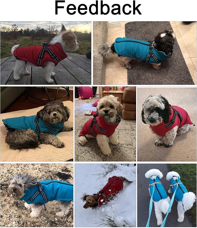Winter Warm Coat Geyecete Waterproof Dog Winter Jacket with Harness Traction Belt,Pet Outdoor Jacket Dog Autumn and Winter Clothes for Medium, Small Dog-Blue-M