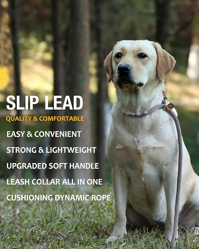 lynxking 5 FT Dog Leash Slip Lead 2 Pack Strong Heavy Duty Braided Dog Training Leash No Pull Training Lead Leashes for Medium Large and Small Dogs