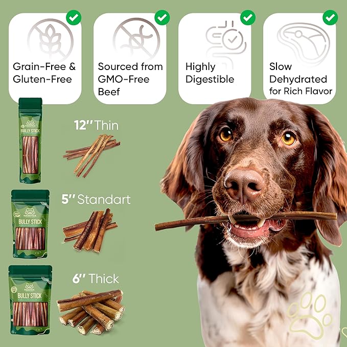 MASSTICK Bully Sticks for Dogs 12 Inch – Extra Thick, Long Lasting, Odor Free Beef Dog Chew Sticks – All Natural, Fully Digestible Treats for Small & Large Dogs – 8oz Bag