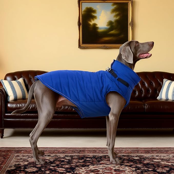 Kuoser Winter Dog Coat for Medium Dogs, Cold Weather Jacket & Vest for French Bulldog, Boston Terrier, Blue M
