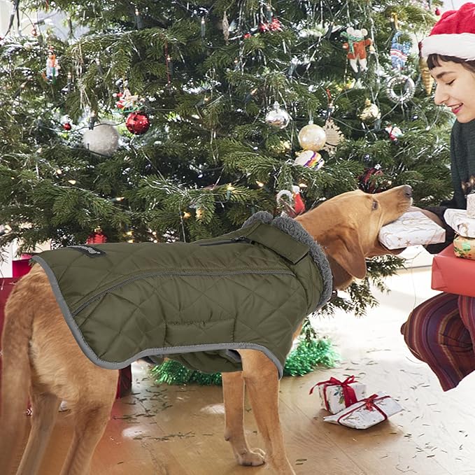 Fragralley Dog Coat Medium, Waterproof Dog Jacket with Warm Fleece Lining, Adjustable Reflective Dogs Winter Coat, Turtleneck Pet Coats for Cold Weather (ArmyGreen M)