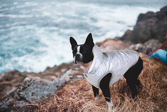 Windproof Waterproof Dog Coat Fleece & Cotton Lined Warm Jacket, Cold Weather Pet Apparel Clothes Vest for Small to Large Dogs (L, Silver)