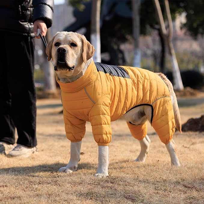Lovelonglong Dog Coat, Warm Jacket, 4 Legs Covered Waterproof Windproof Reflective Vest, Zippered Adjustable Outdoor Snow Jacket for Small Medium Large Dogs, Yellow, M