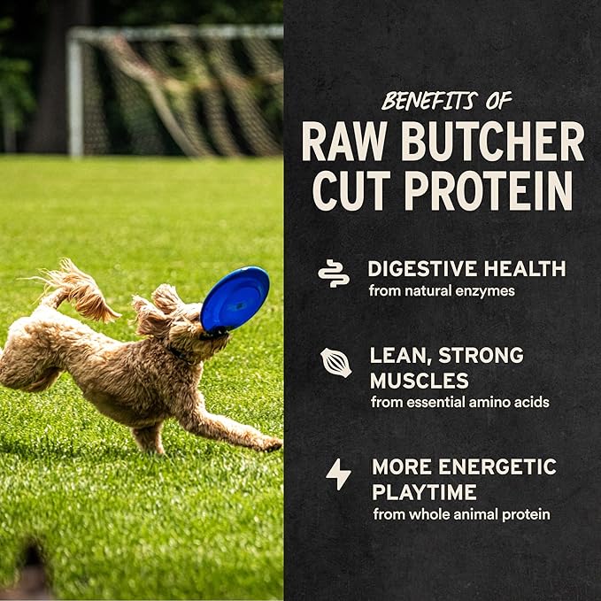 Vital Essentials Beef Bites Dog Treats, 6.2 oz | Freeze-Dried Raw | Single Protein | Premium Quality High Protein Training Treats | Grain Free, Gluten Free, Filler Free