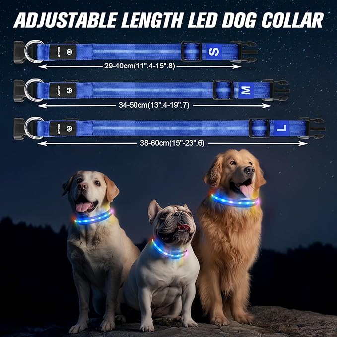 LED Dog Collar, Light Up Dog Collar, USB Rechargeable - Brightest Dog Lights for Night Walking, 6 Light Modes, Adjustable for Dog Safety(Medium, Royal Blue)