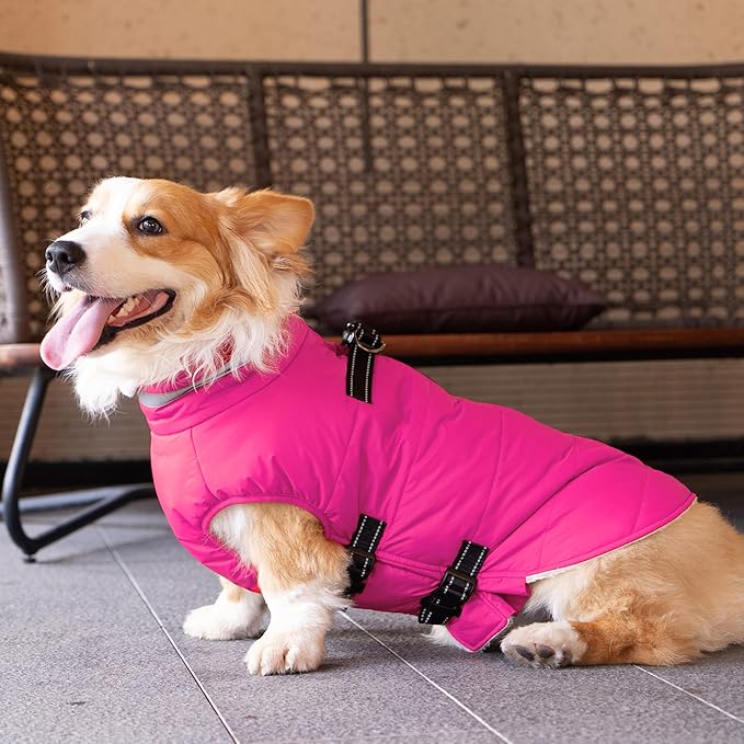 Large Dog Coat with Harness Built-in, Waterproof Reflective Fleece Lined - Warm Windproof Winter Jacket with Back Zipper, Cold Weather Snow Dog Coats - Pink - 3XL