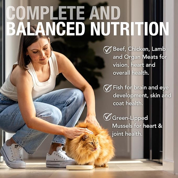 Feline Natural Wet Cat Food Variety Pack - Chicken, Lamb, Salmon & Beef Feast, Grain-Free, 3oz Pouches, New Zealand Made, Assorted Single Serve Pates (12 Pack)