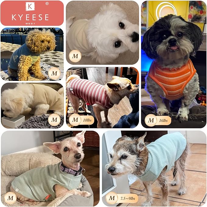KYEESE 2Pack Waffle Dog Shirts for Small Dogs Stretchy T-Shirts Lightweight Tank Top Sleeveless Striped Vest Breathable Cat Tee, Medium, Green+Striped