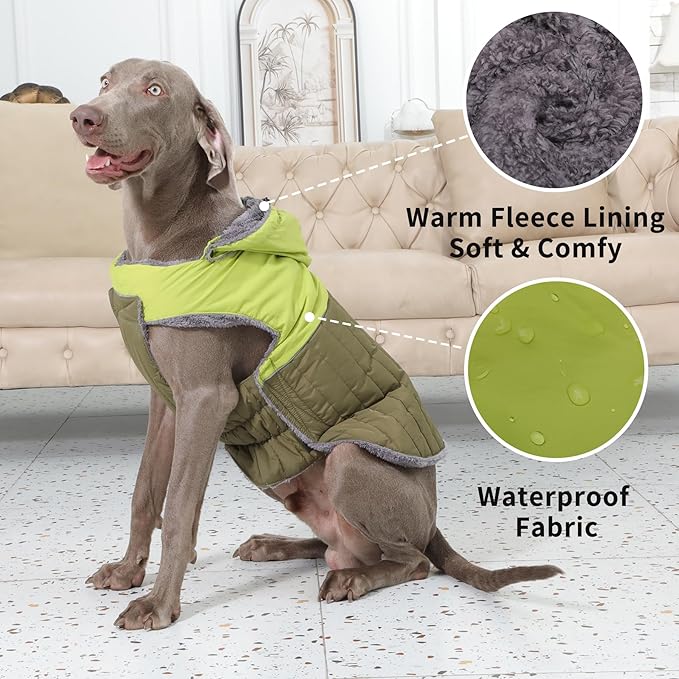 Detachable Hooded Dog Coat with Harness for Small Dogs,Super Warm Fleece Puppy Jacket for Cold Winter Doggie Coats,Green M