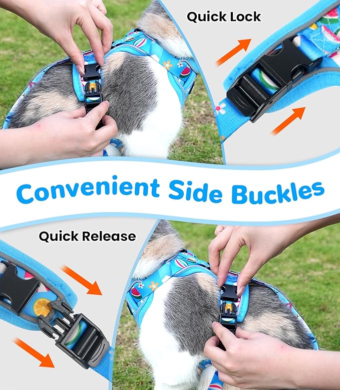 Halypet Cat Harness and Leash Set for Walking, Escape Proof Adjustable Vest Harness with 3-in-1 Integrated Buckles, Easy Control Soft Breathable Mesh with Reflective Strips for Cats, S, Ocean Blue