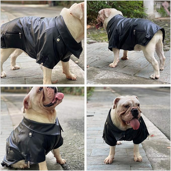 Lovelonglong Cool Dog Leather Jacket, Warm Coats Dogs Windproof Cold Weather Coats for Pugs Bulldog Pitbull Black B-S