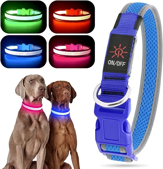 YFbrite Light up Dog Collar, USB Rechargeable LED Puppy Collar Super Bright Adjustable Glowing Dog Lights for Night Walking (Blue, Small)
