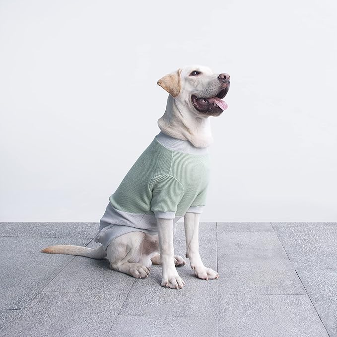 Extra Large Dog Sweaters Warm Clothes Pullover Sweatshirts for Labrador Rottweiler Great Dane, Green Grey, 5X-Large