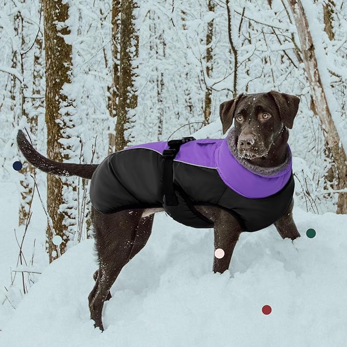 IECOii Extra Warm Dog Coat - Reflective, Adjustable Jacket for Cold Weather, Soft Fleece Turtleneck for Small to Extra Large Dogs