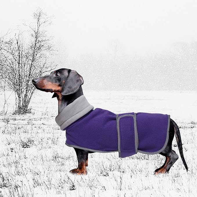 Geyecete Dachshund Sweaters for Dogs Jacket,Dachshund Coat Perfect Dog Winter Coat with Padded Fleece Lining,high Collar,Dog Snowsuit-Purple-L