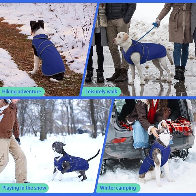 MIGOHI Reflective Waterproof Windproof Dog Coat - Warm Jacket Reversible Stormguard Winter Vest for Small to Large Dogs (Navy, M)