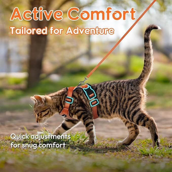 Dooradar Cat Harness and Leash Set, Escape Proof Safe Adjustable Kitten Vest Harnesses for Walking, Easy Control Soft Breathable Mesh Jacket with Reflective Strips for Cats, Orange, S