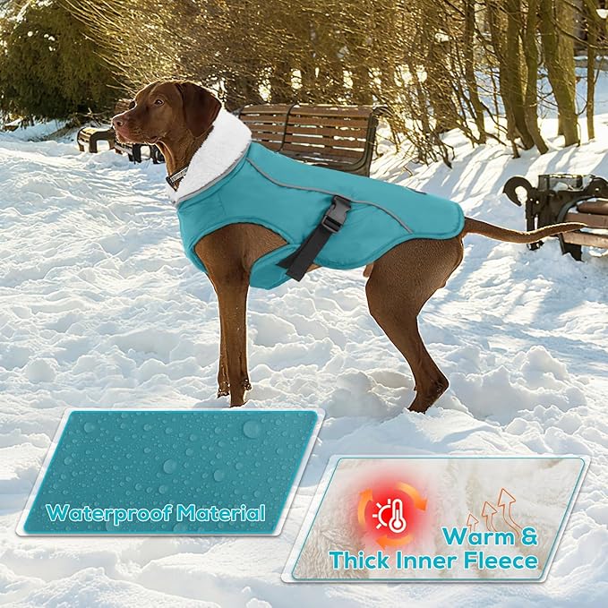 EMUST Dog Coat Winter, Waterproof Pet Snow Jacket for Winter, Adjustable Small/Medium/Large Dog Coat, Turquoise, L
