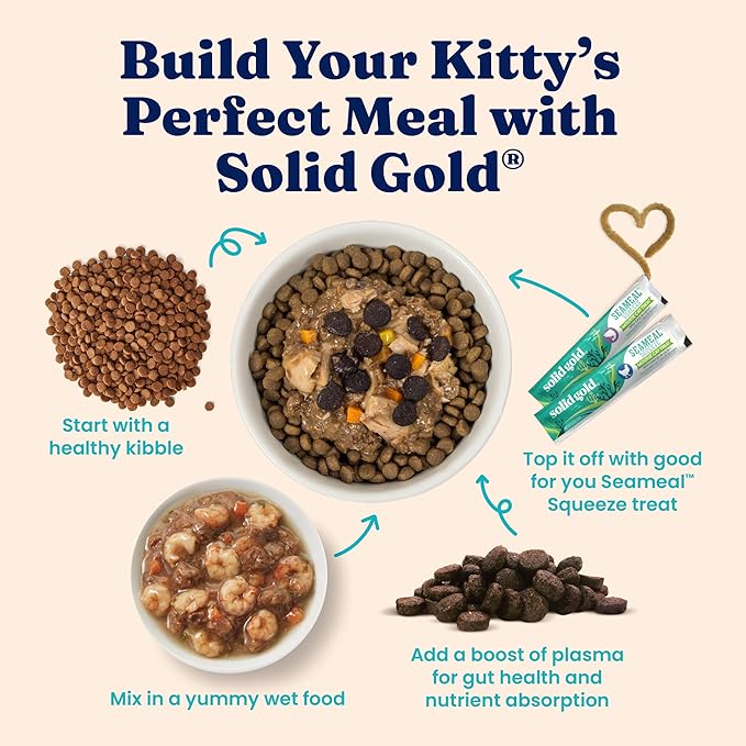 Solid Gold Indoor Dry Cat Food - Grain Free & Gluten Free - Chicken Cat Food Dry Kibble for Indoor Cats w/Probiotics & Fiber for Gut Health - Sensitive Stomach & Hairball Support for Adult Cats - 3LB