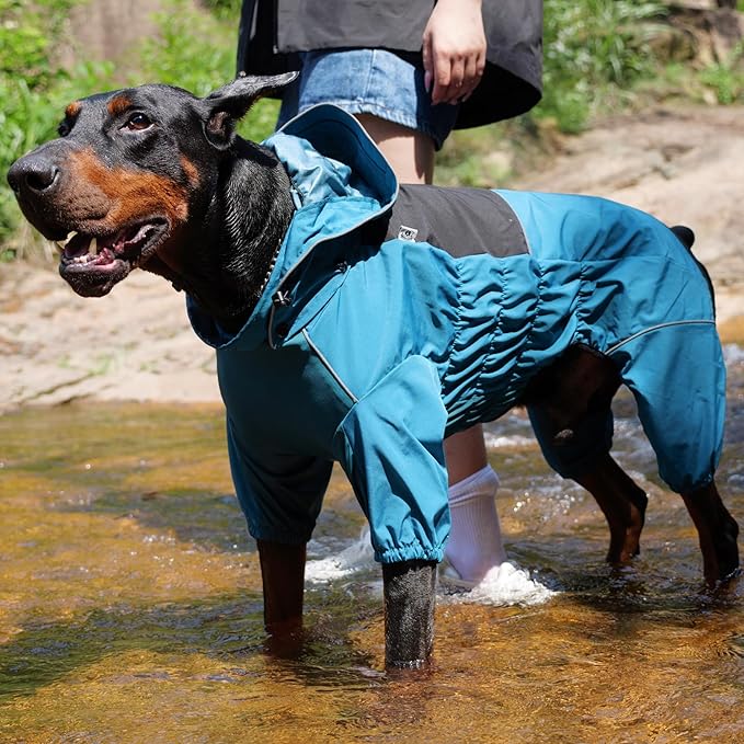LOVELONGLONG Waterproof Dog Raincoat with Removable Hood – Outdoor Full Body Dog Jacket, Windproof Snowproof Shell Suit – All Season Pet Rain Gear Ocean Teal M