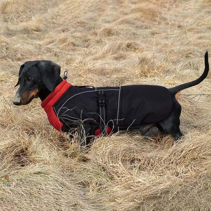 Lelepet Dachshund Coat Warm Dog Winter Coat Waterproof Dog Jacket with Fleece Lining, Reflective Outdoor Dachshund Snowsuit with Leash Hole Adjustable Neckline,Coats for Small Medium Dogs,Red, XL