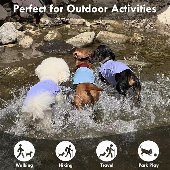 2 Pack Dog Shirt, Quick Dry Cooling T-Shirt for Summer Hot Day, Lightweight Sun Protection Dog Clothes for Boy Girl Easy to Put on, Blue+Grey, XL