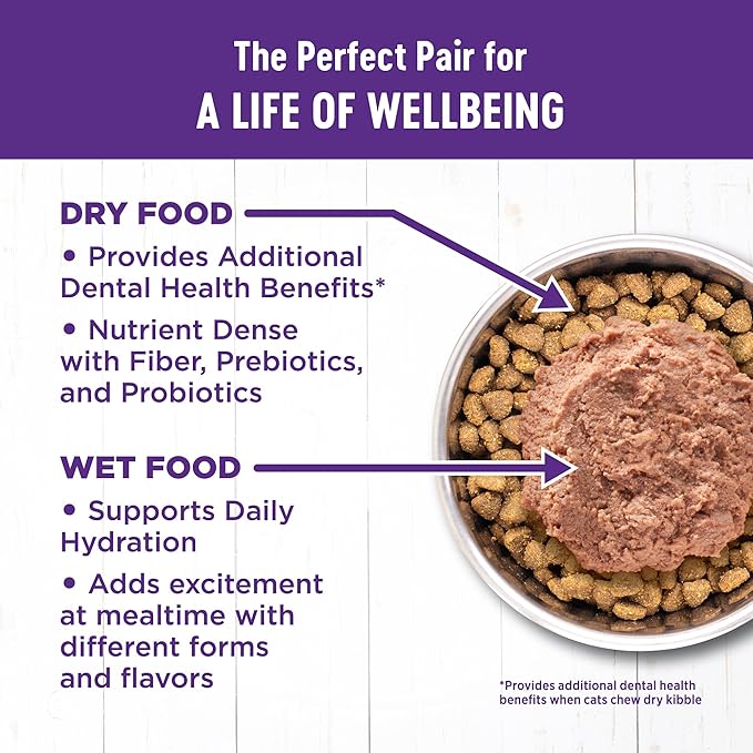 Wellness Complete Health Adult Dry Cat Food for Indoor Cats, Grain Free, Natural, Salmon and Herring Meal (11.5 Pound Bag)
