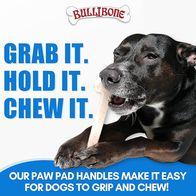 Bullibone Nylon Dog Chew Toy Nylon Bone - Improves Dental Hygiene, Easy to Grip Bottom, and Permeated with Flavor (Beef, XL - Single)