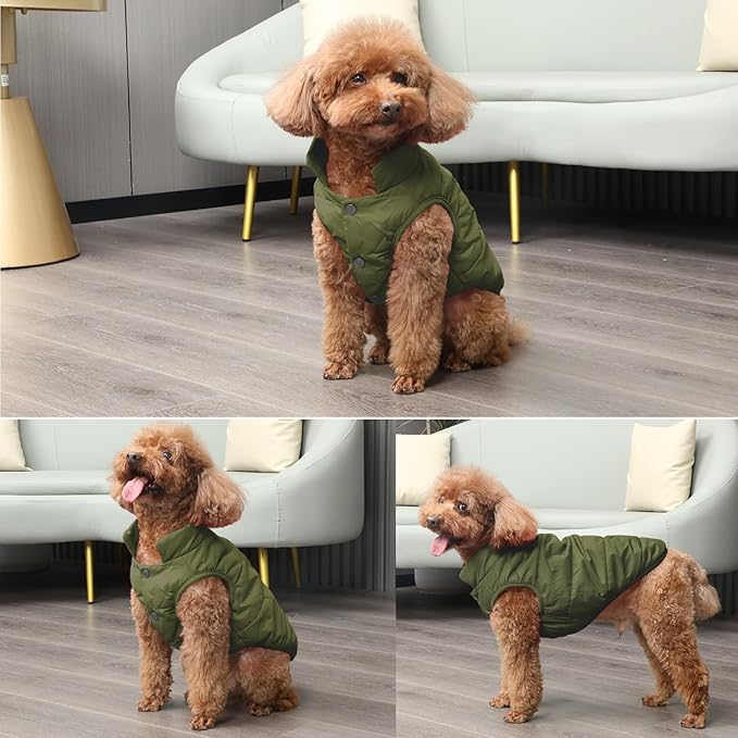 Fleece Lined Warm Dog Jacket for Winter Cold Weather,Soft Windproof Medium Dog Coat,Green XL