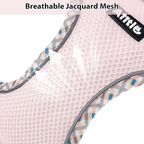 AIITLE Tiny Dog Harness - Lightweight Mesh Step-in Vest for Puppy, Reflective & Escape-Proof Design with High-Stick Magic Tape - Indoor/Outdoor Use for Chihuahua, Maltese, Shih Tzu(Blue-Pink, XXXS)