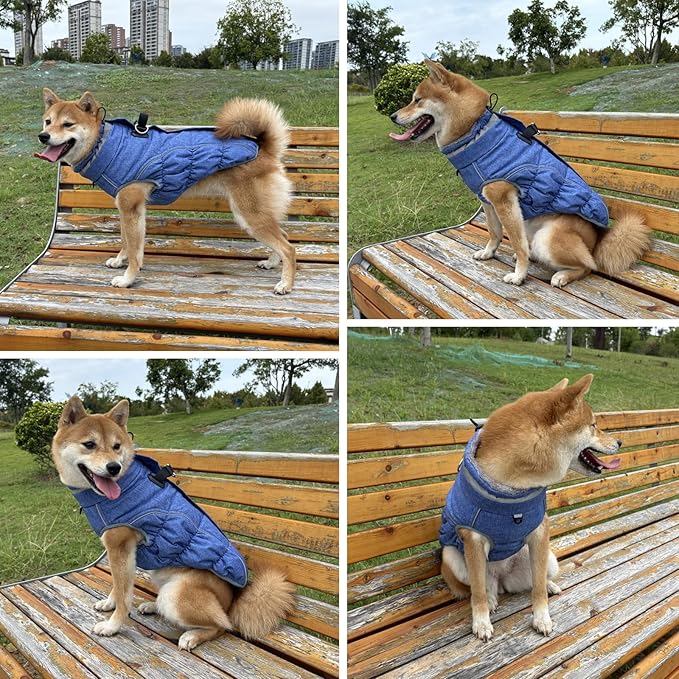 Malier Dog Coat, Reflective Dog Jacket Waterproof Windproof Puppy Cold Weather Coats with Harness Built in, Winter Extra Warm Pet Coat Fleece Vest for Small Large Pets and Puppy (Blue, Medium)
