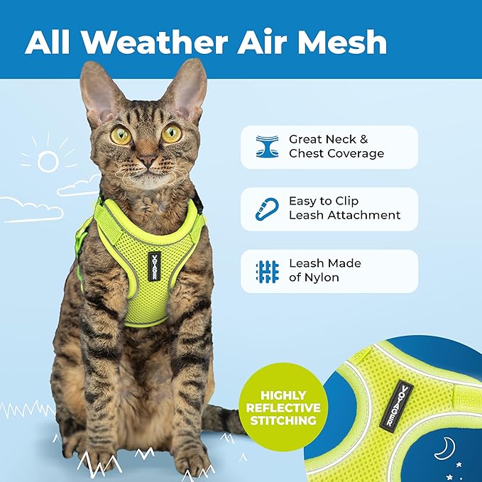 Voyager Escape Proof Cat Harness and Leash Set with Reflective Stitching, Neoprene Handle 5ft - Supports Small, Medium and Large Cats, Kittens for Walking by Best Pet Supplies - Lime, XXXS