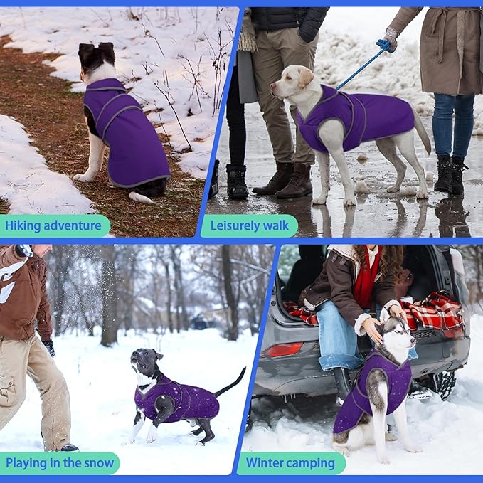MIGOHI Reflective Dog Coat, Waterproof Winter Jacket, Fleece Lined, Small, Purple