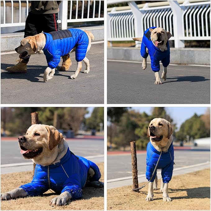 Lovelonglong Dog Coat Dog Warm Jacket, 4 Legs Covered Waterproof Windproof Reflective Warm Dog Vest, Zippered Adjustable Outdoor Dog Snow Jacket for Small Medium Large Dogs Blue M