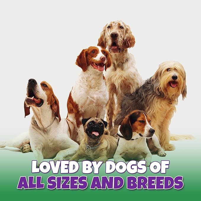 Marrow Bones for Dogs Large, Medium, & Small, All-Natural, USA Made, Healthy Bone Marrow Dog Treats, Filled Beef Bones That Support Dental Health, 6-Inch, 4 Count