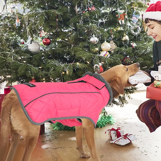 Fragralley Dog Coat Small, Waterproof Dog Jacket with Warm Fleece Lining, Adjustable Reflective Dogs Winter Coat, Turtleneck Pet Coats for Cold Weather (Pink S)
