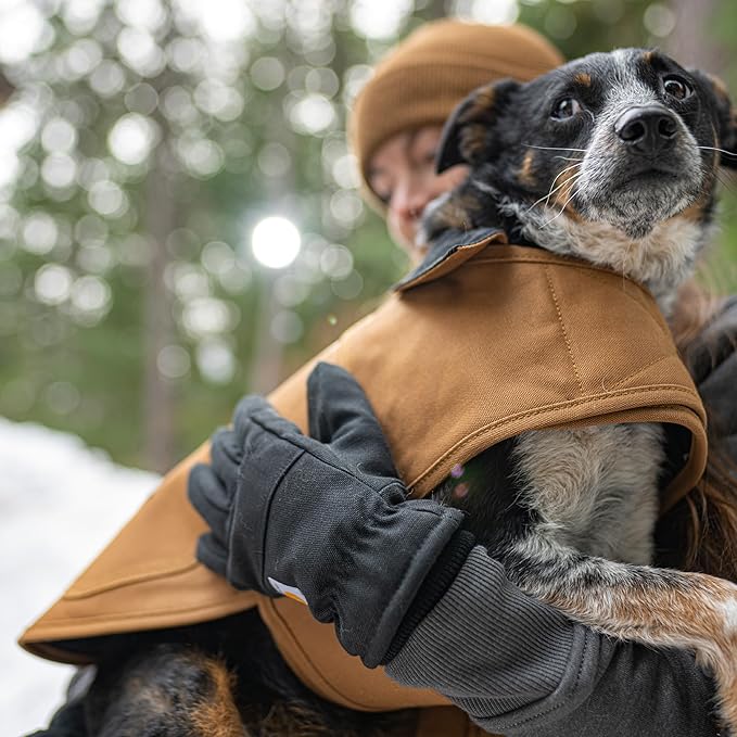 Carhartt Firm Duck Insulated Dog Chore Coat, Durable Weather Resistant Jacket for Cold and Windy Conditions, PFAS Free (Hunter Orange), Large