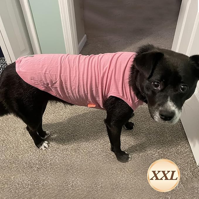 KYEESE 2Pack Dog Shirts Striped T Shirt for Medium Dogs Boy Lightweight Sleeveless Vest Cotton Tank Top Clothes, XX-Large,Purple+Striped