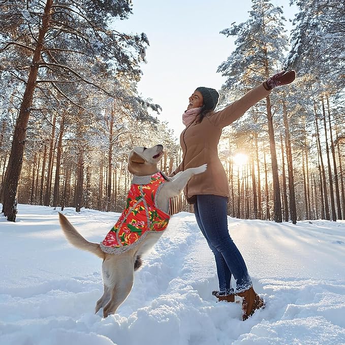 VIVAGLORY Frostfit Dog Coat, Dog Jacket for Winter & Cold Weather, Warm Fluffy Fleece Lined Water Resistant Reflective for Puppy, Coat with Velcro Fastening & Leash Hole, L, Northeast Florals-Red