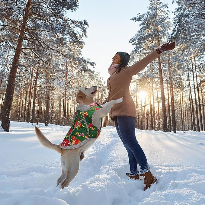 VIVAGLORY Frostfit Dog Coat, Dog Jacket for Winter & Cold Weather, Warm Fluffy Fleece Lined Water Resistant Reflective for Puppy, Coat with Velcro Fastening & Leash Hole, S, Northeast Florals-Green