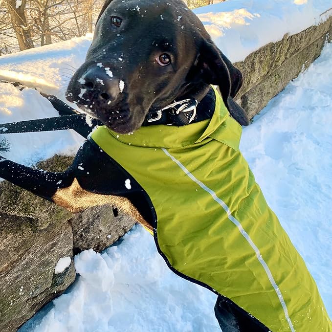 Mile High Life Dog Raincoat, Adjustable Waterproof Reflective Rain Jacket for Small Medium Large Dogs, Lightweight Breathable Pet Rain Coat with Leash Hole(Lime Yellow,L Chest 32-40")