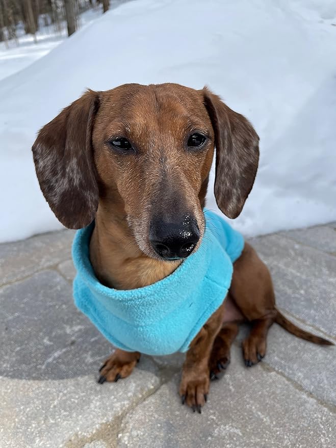 Gooby Zip Up Fleece Dog Sweater - Turquoise, Small - Warm Pullover Fleece Step-in Dog Jacket with Dual D Ring Leash for Small to Medium Dogs