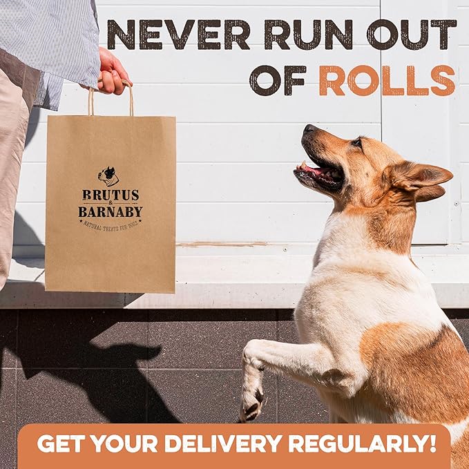 Premium Beef Cheek Rolls for Dogs 10-12" - (3-Pack) Long Lasting, Safe & Natural Rawhide Alternative Chews, Ideal for Large Dogs & Aggressive Chewers, Supports Dental Health & Digestion