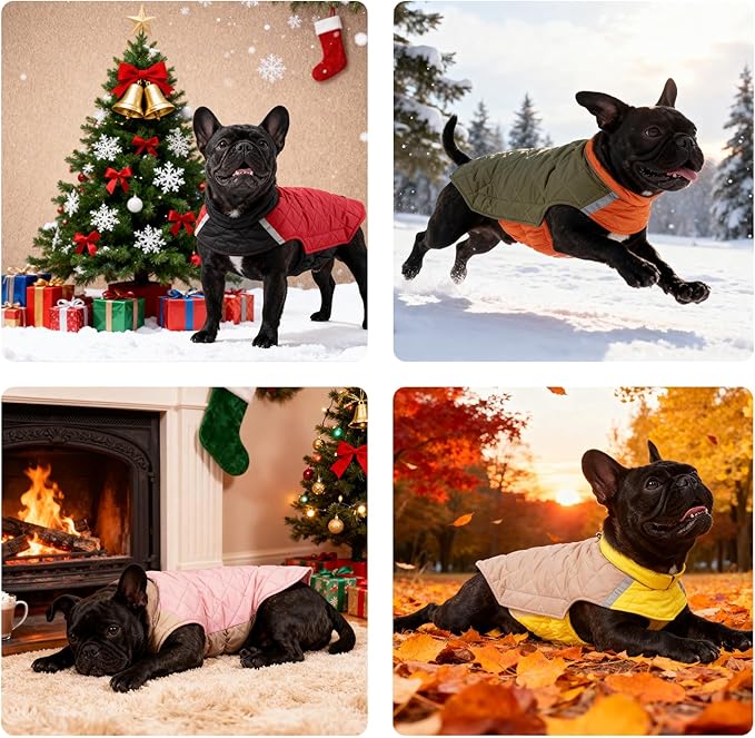 Reversible Waterproof Dog Coat - Adjustable Winter Jacket for Small to Large Breeds, Warm Cold Weather Apparel for Medium Dogs (Khaki & Yellow, Medium (Pack of 1))